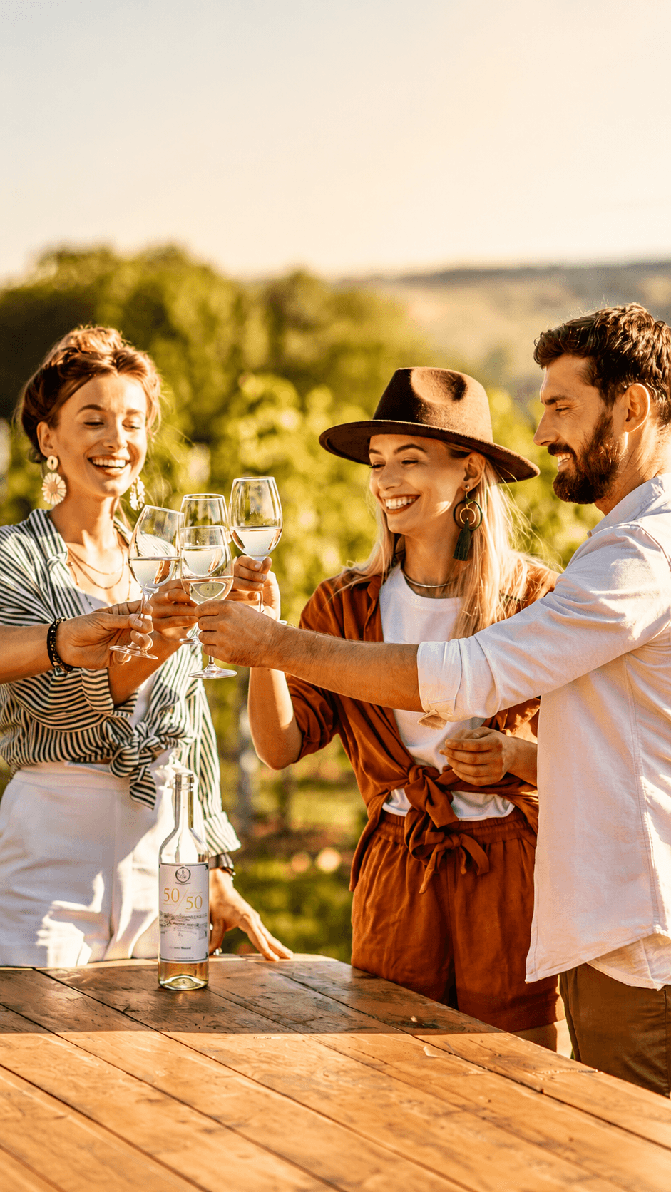 Bodegas y viñedos en Mendoza