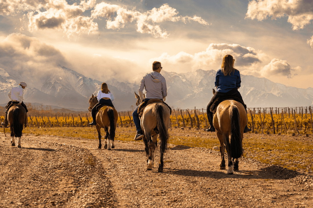 Cordillera de los Andes en Mendoza